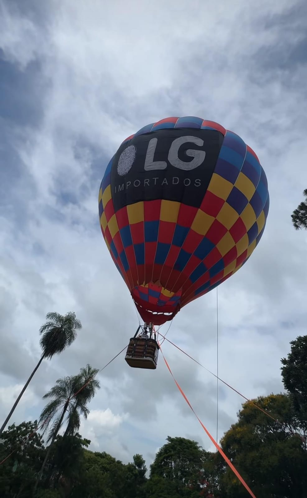 Lg Importados